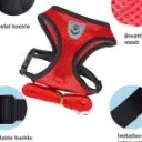 Dog Harness