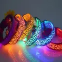 Dog Collars/Dog leashes