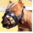 Dog Mouth Cover