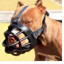 Dog Mouth Cover