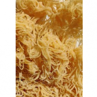 St Lucian Gold Dried Seamoss