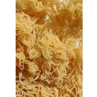St Lucian Gold Dried Seamoss