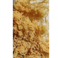 St Lucian Gold Dried Seamoss
