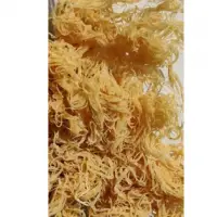 St Lucian Gold Dried Seamoss