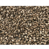 Castor Drying