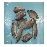 Tilapia Mooncut Clean