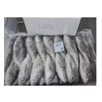 Silver Croaker Fish