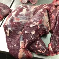 Frozen Buffalo Meat