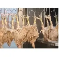 Fresh Chicken