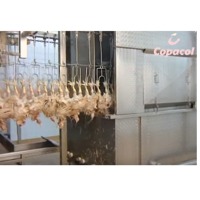 Fresh Chicken