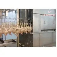 Fresh Chicken