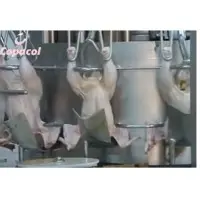 Fresh Chicken