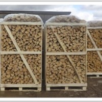 Birch Firewood