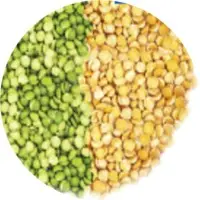 Peas