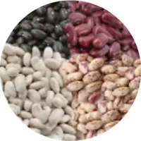 Beans