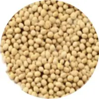 Soybeans