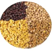 Seeds