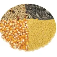 Bird And Animal Feed
