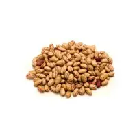 Pinto Beans