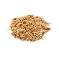 Sesame Seeds