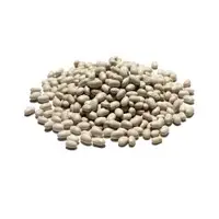 Navy Beans