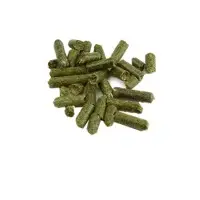 Alfalfa