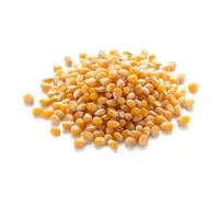 Corn