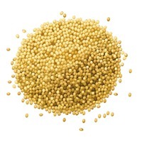 Millet Seed