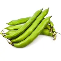 Faba Beans
