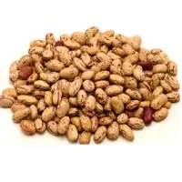 Pinto Beans