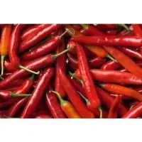 Red Chilli