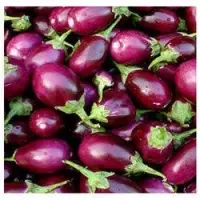 Brinjal