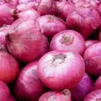 Onion