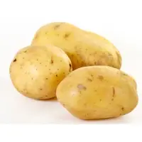 Potato