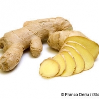 Ginger