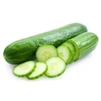 Cucumber
