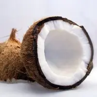 Coconut
