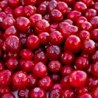 Craneberry