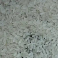 IR 64 Rice