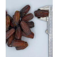 Mabroom DatesÂ Grade 1