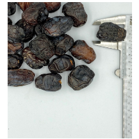 Ajwa Dates GradeÂ 1
