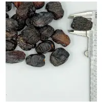 Ajwa Dates GradeÂ 1