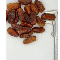 Sufri Dates GradeÂ 1
