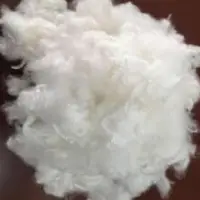 Polyester Staple Fiber