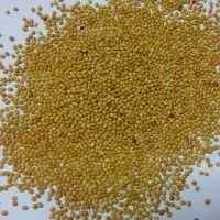 Millet