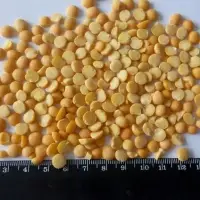 Yellow Split Peas