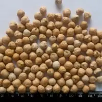 Chickpeas