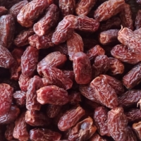 Dry Dates Crop 
