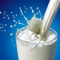 UHT- Milk