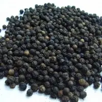 Black Pepper